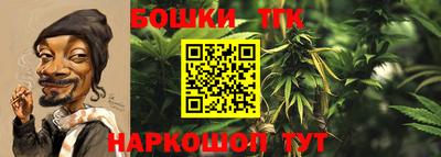 герыч Гатчина