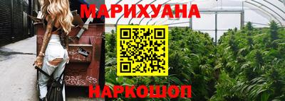 тгк Гай