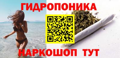 тгк Гай