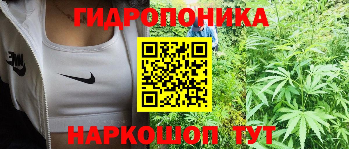 Канабис MAZAR Октябрьский